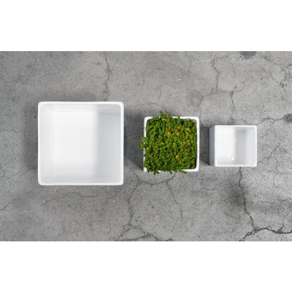 Fioriera Quadro Classic
