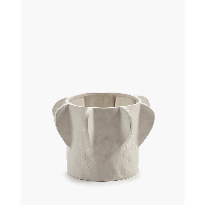 Vaso 02 Molly