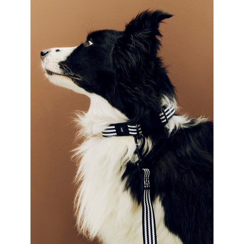 Guinzaglio Piatto per Cani M/L