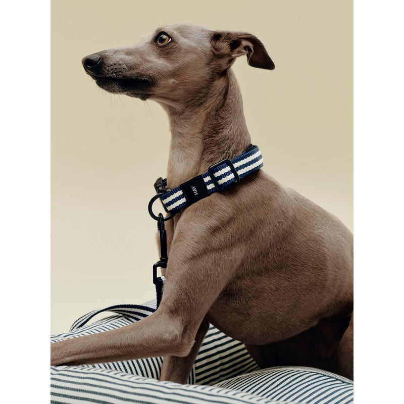 Collare Piatto per Cani M/L