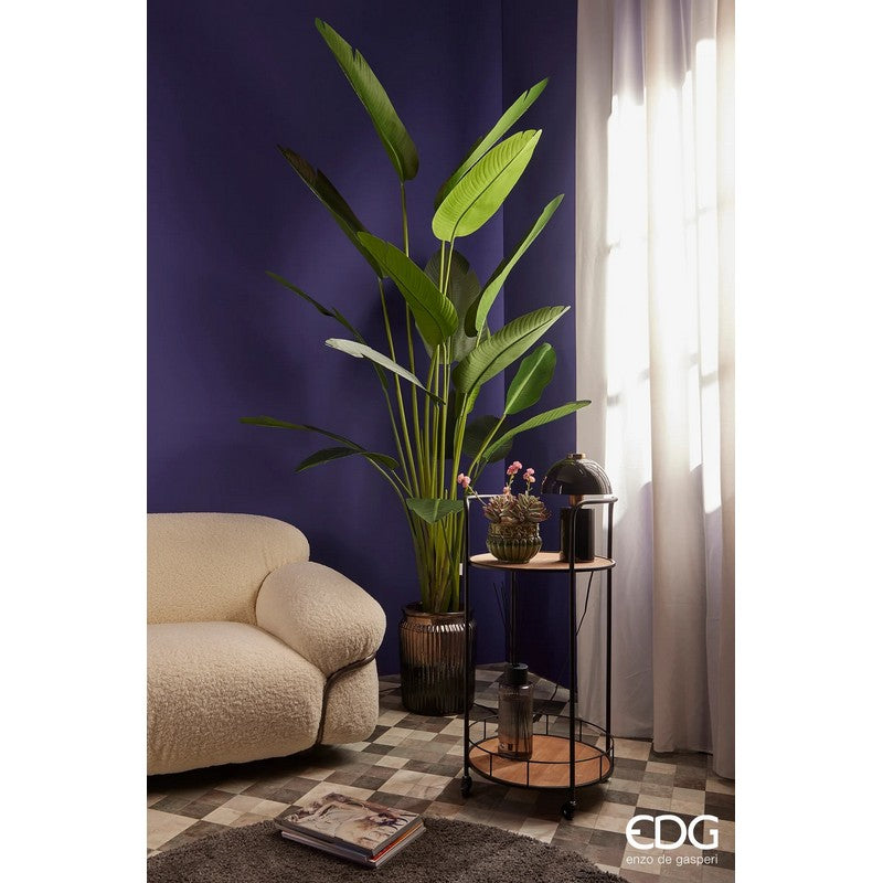 Lampada Glossy Fungo Nero e Oro