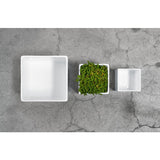 Fioriera Quadro Classic