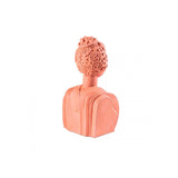 Magna Graecia Terracotta Busto Poppea
