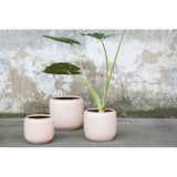 Vaso Flower Pot Costa Rosa