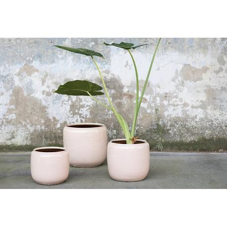 Vaso Flower Pot Costa Rosa