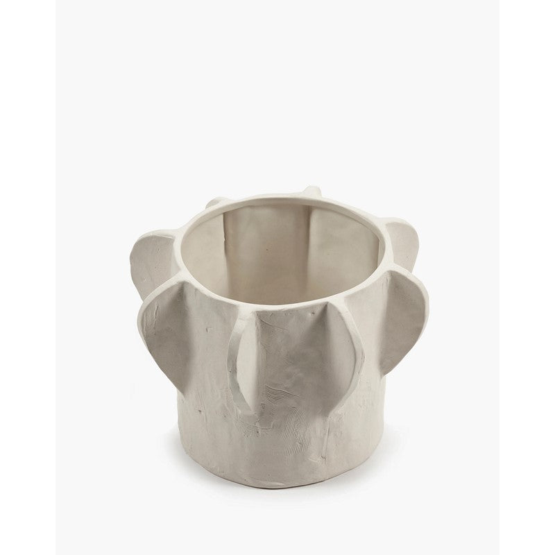 Vaso 02 Molly