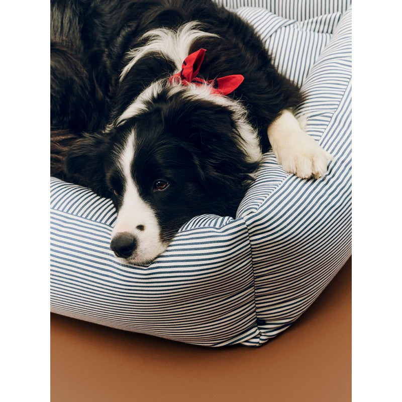 Cuccia per Cani con Cerniera S