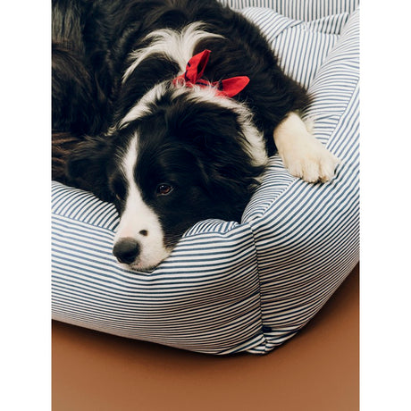 Cuccia per Cani con Cerniera S