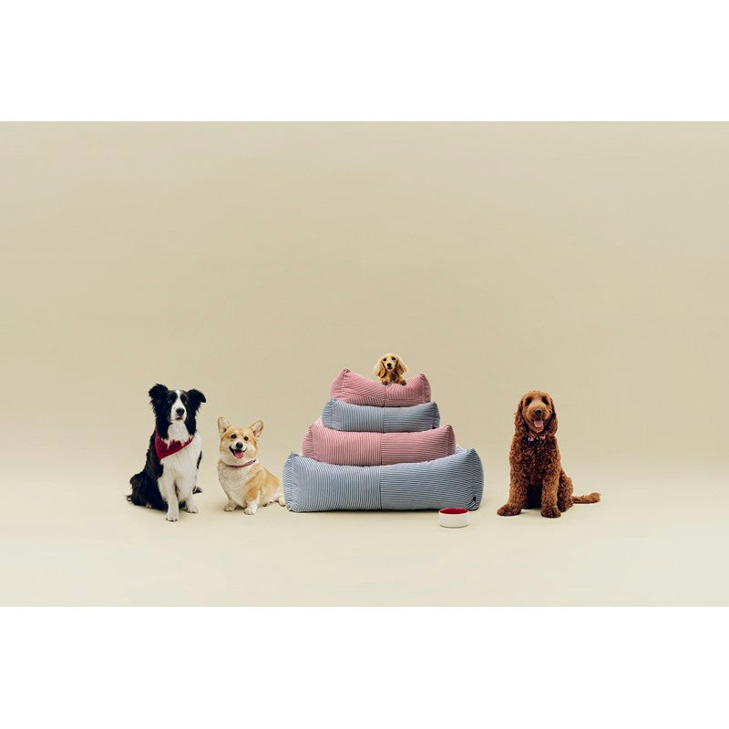 Cuccia per Cani con Cerniera S