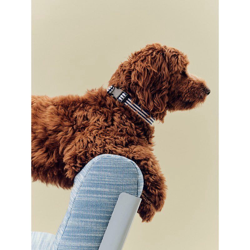 Collare Piatto per Cani M/L