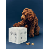Contenitore Alimenti per Cani Grande