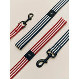 Guinzaglio Piatto per Cani M/L
