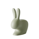 Sedia Rabbit Chair
