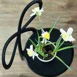 Sedia Ribbon Chair