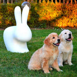 Sedia Rabbit Chair