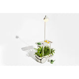 Carrello Jolly Trolley