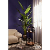 Lampada Glossy Fungo Nero e Oro