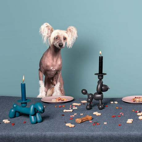 Candeliere Can- Dog