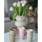 Tazza Oiva / Siirtolapuutarha